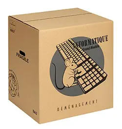 Carton déménagement informatique