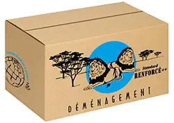 Carton déménagement standard